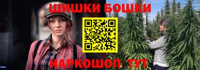 индика Ликино-Дулёво