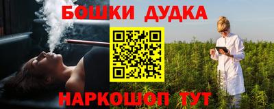 индика Ликино-Дулёво