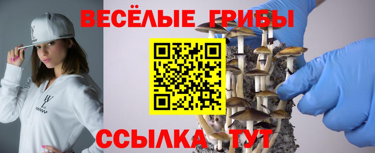 Псилоцибиновые грибы мицелий  Галлюциногенные грибы прущие грибы  Карачаевск  Вход с VPN 